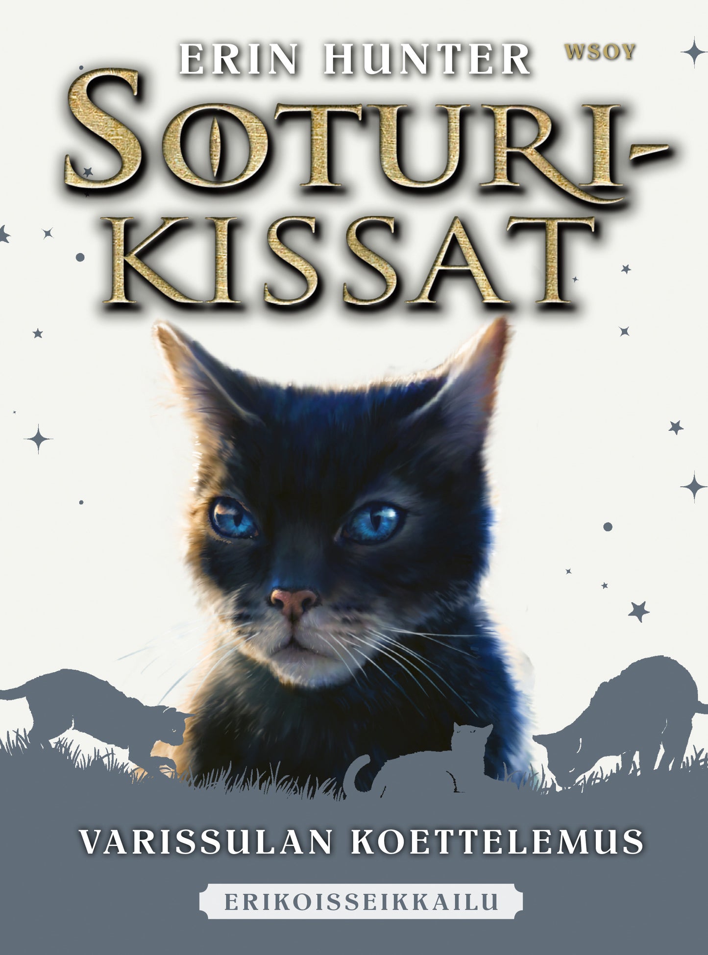 Soturikissat: Erikoisseikkailu: Varissulan koettelemus