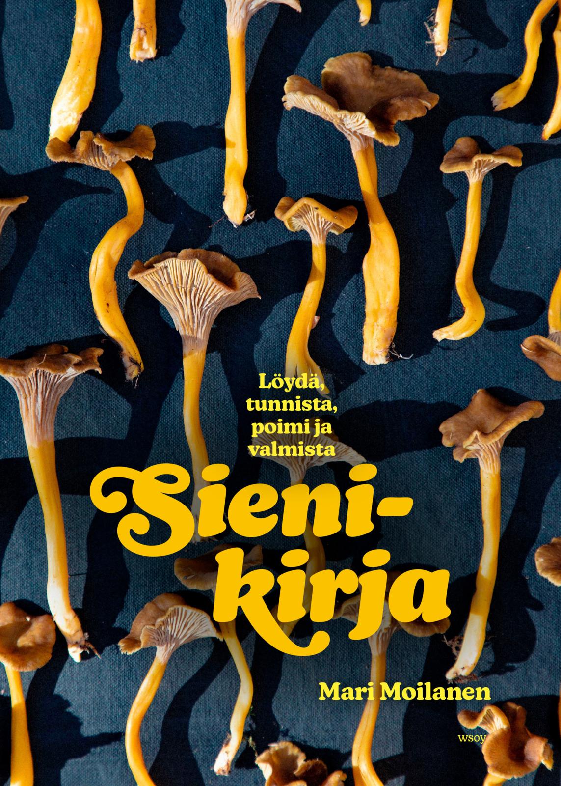 Sienikirja