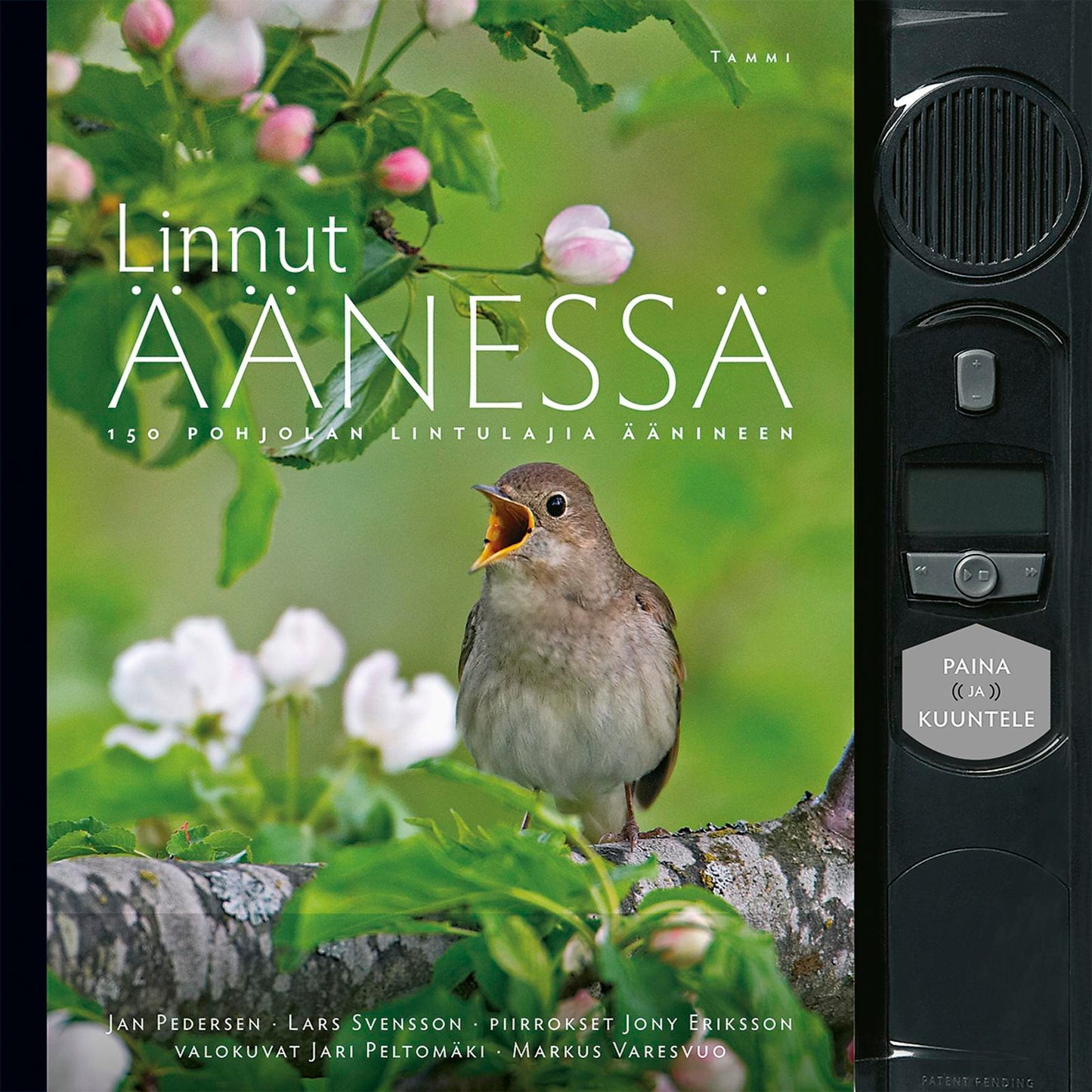 Linnut äänessä