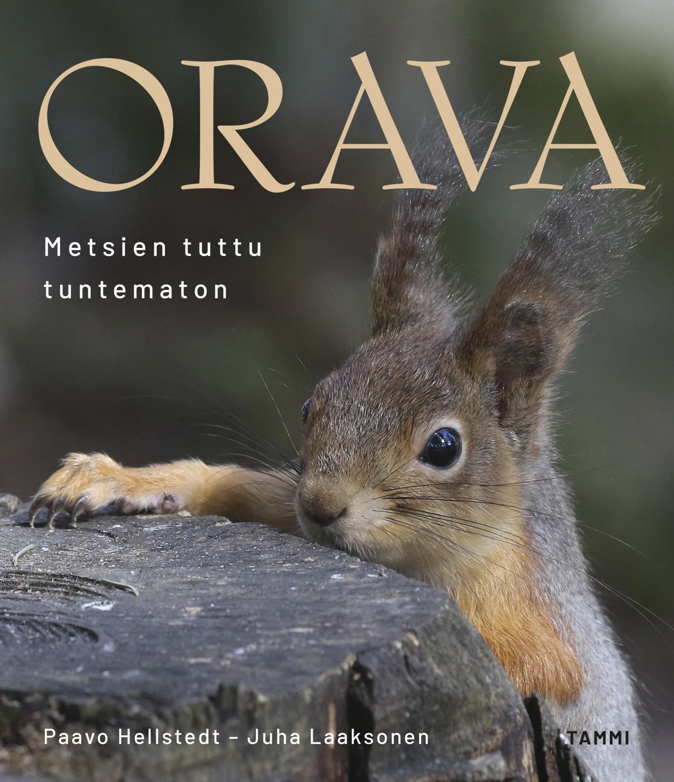 Orava
