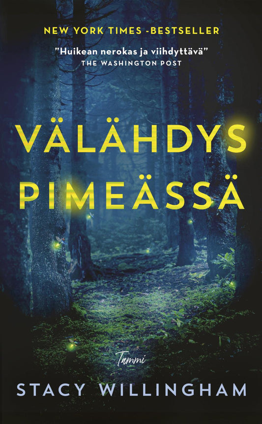 Etukansi. Stacy Willingham. Välähdys pimeässä.