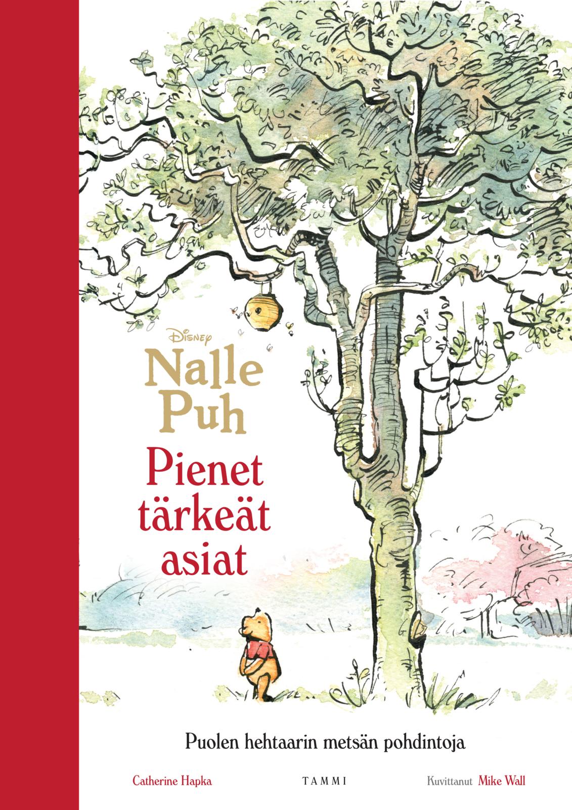 Disney. Nalle Puh. Pienet tärkeät asiat