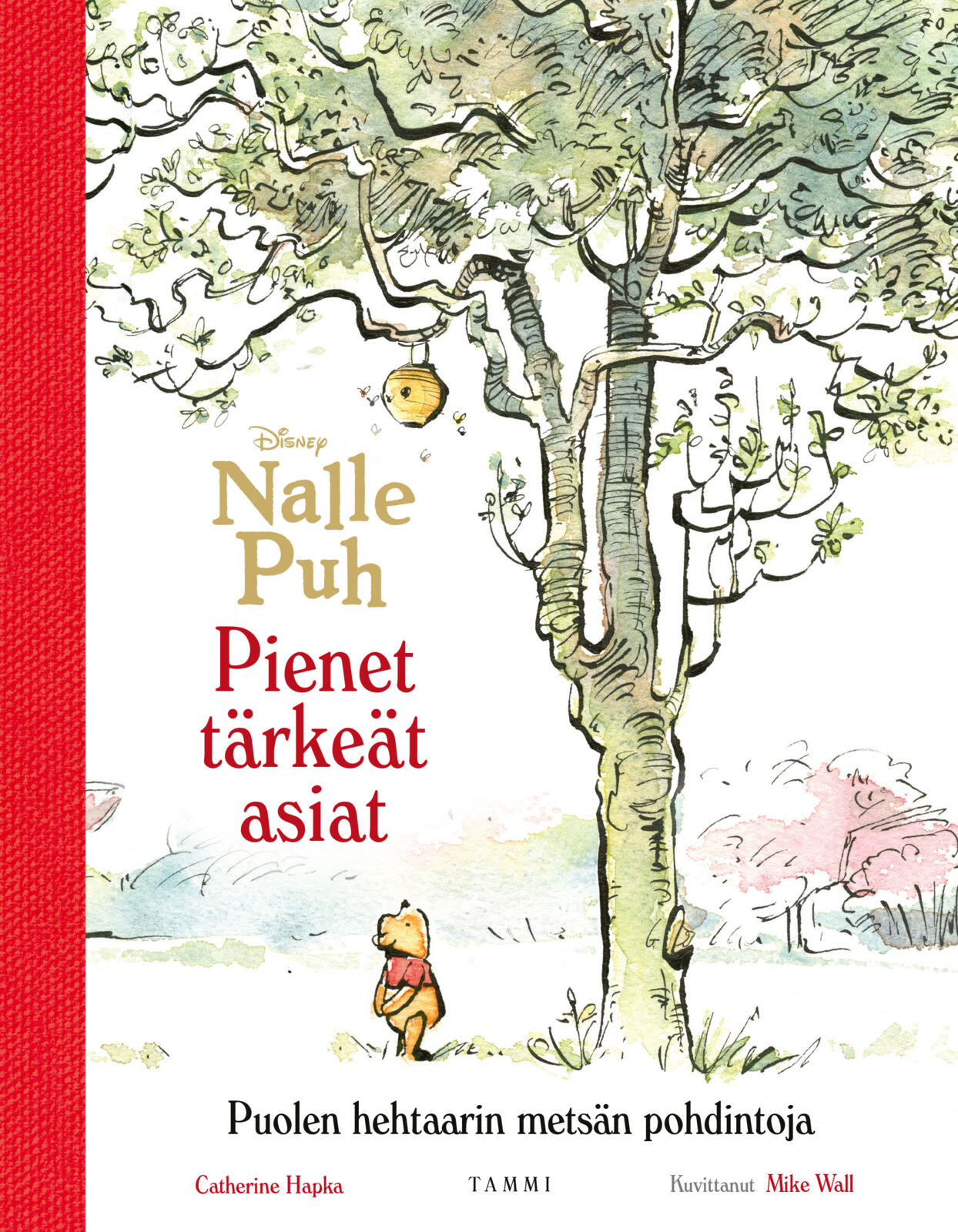 Disney. Nalle Puh. Pienet tärkeät asiat