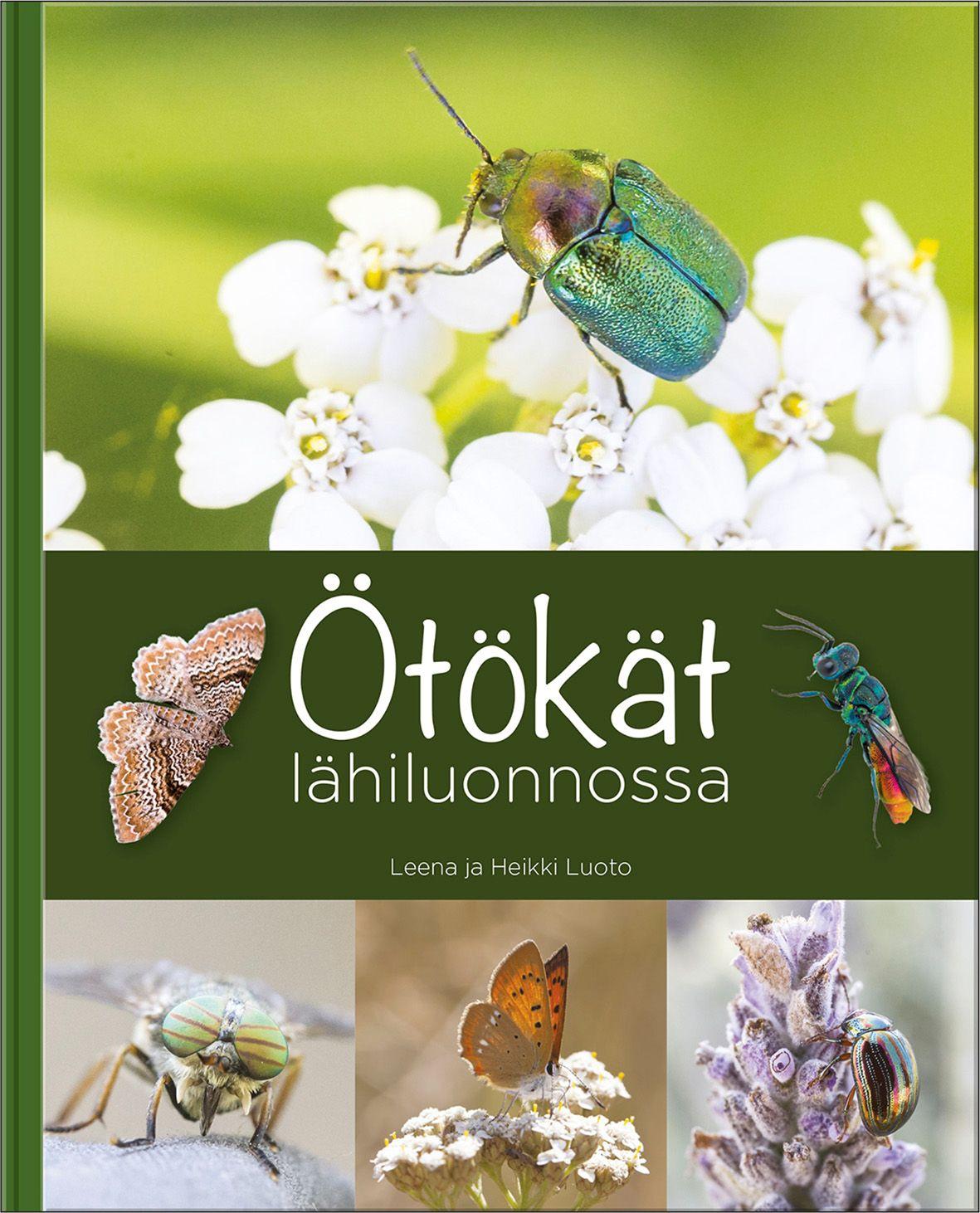 Ötökät lähiluonnossa