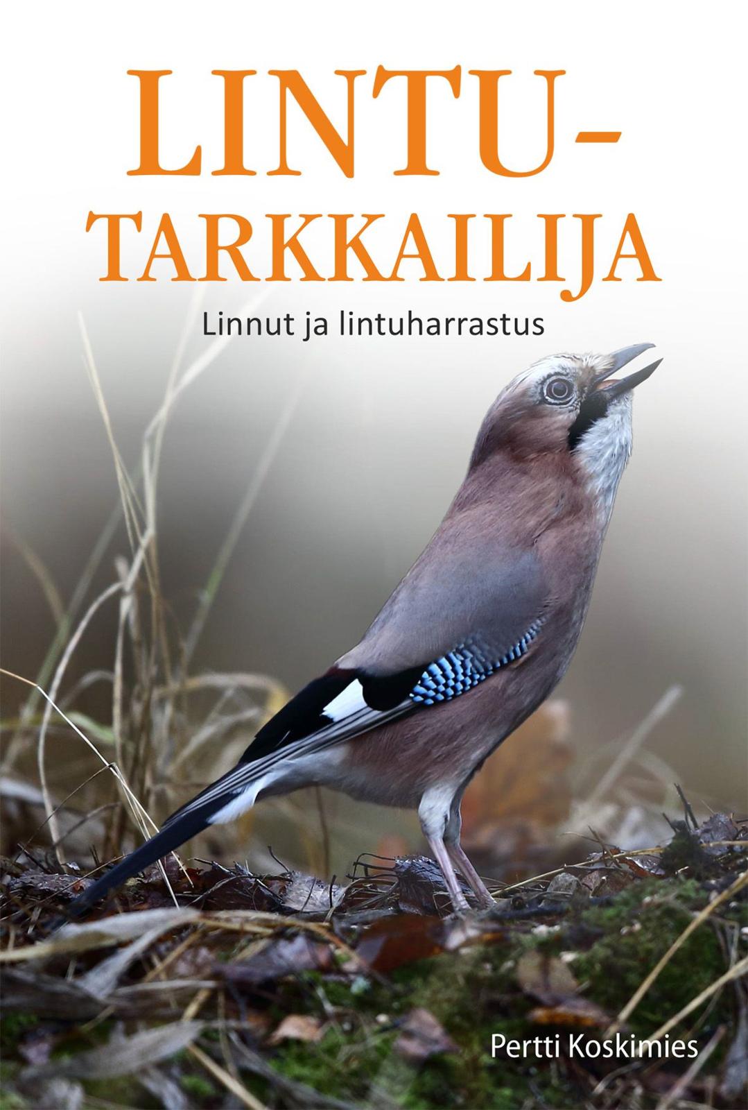 Lintutarkkailija