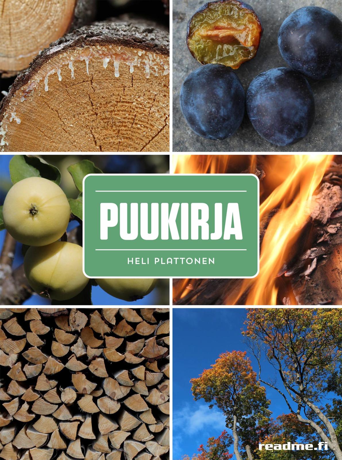 Puukirja
