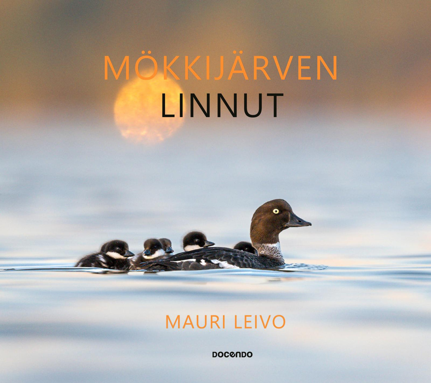 Mökkijärven linnut