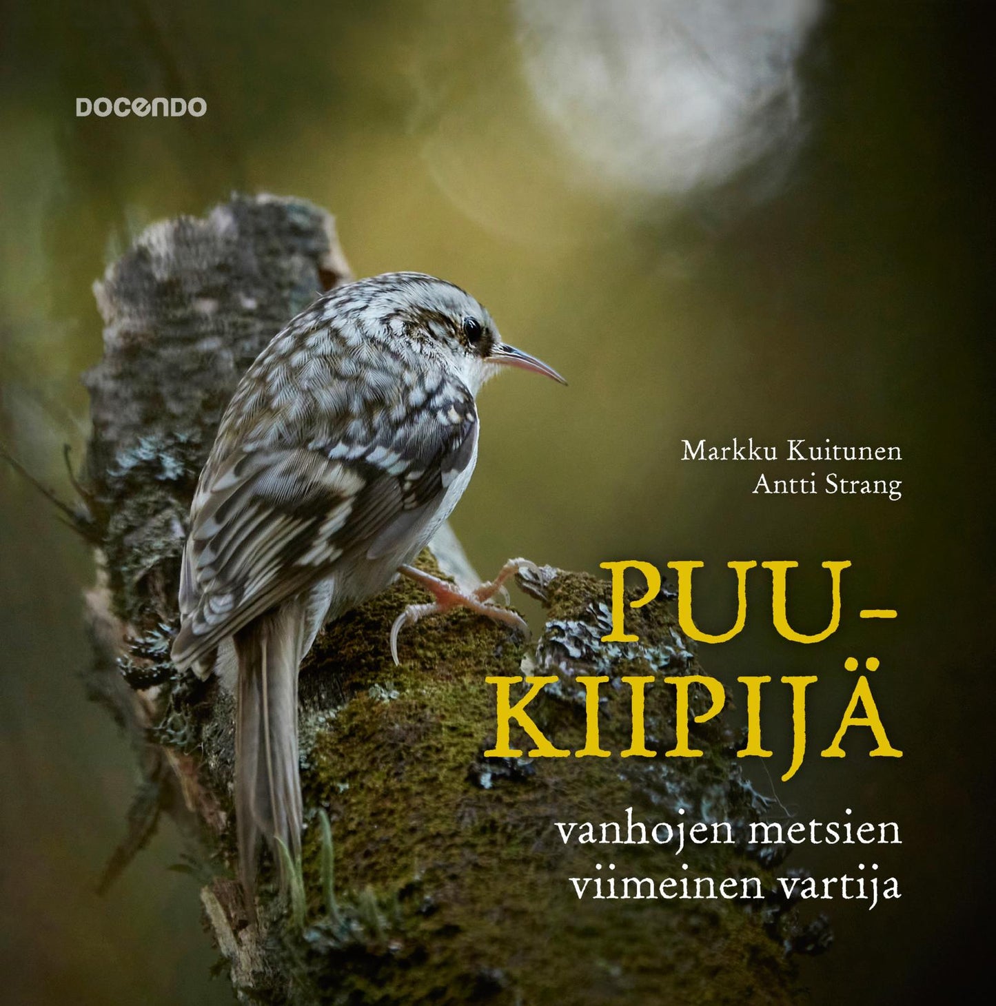 Puukiipijä