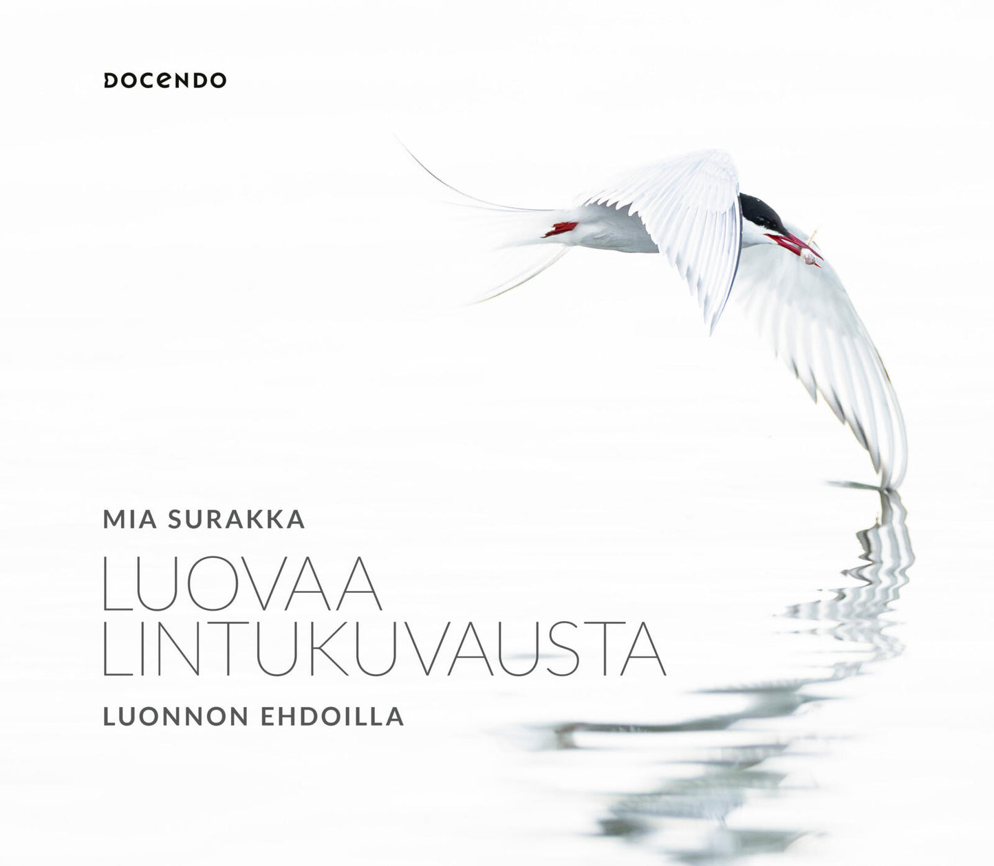 Luovaa lintukuvausta luonnon ehdoilla