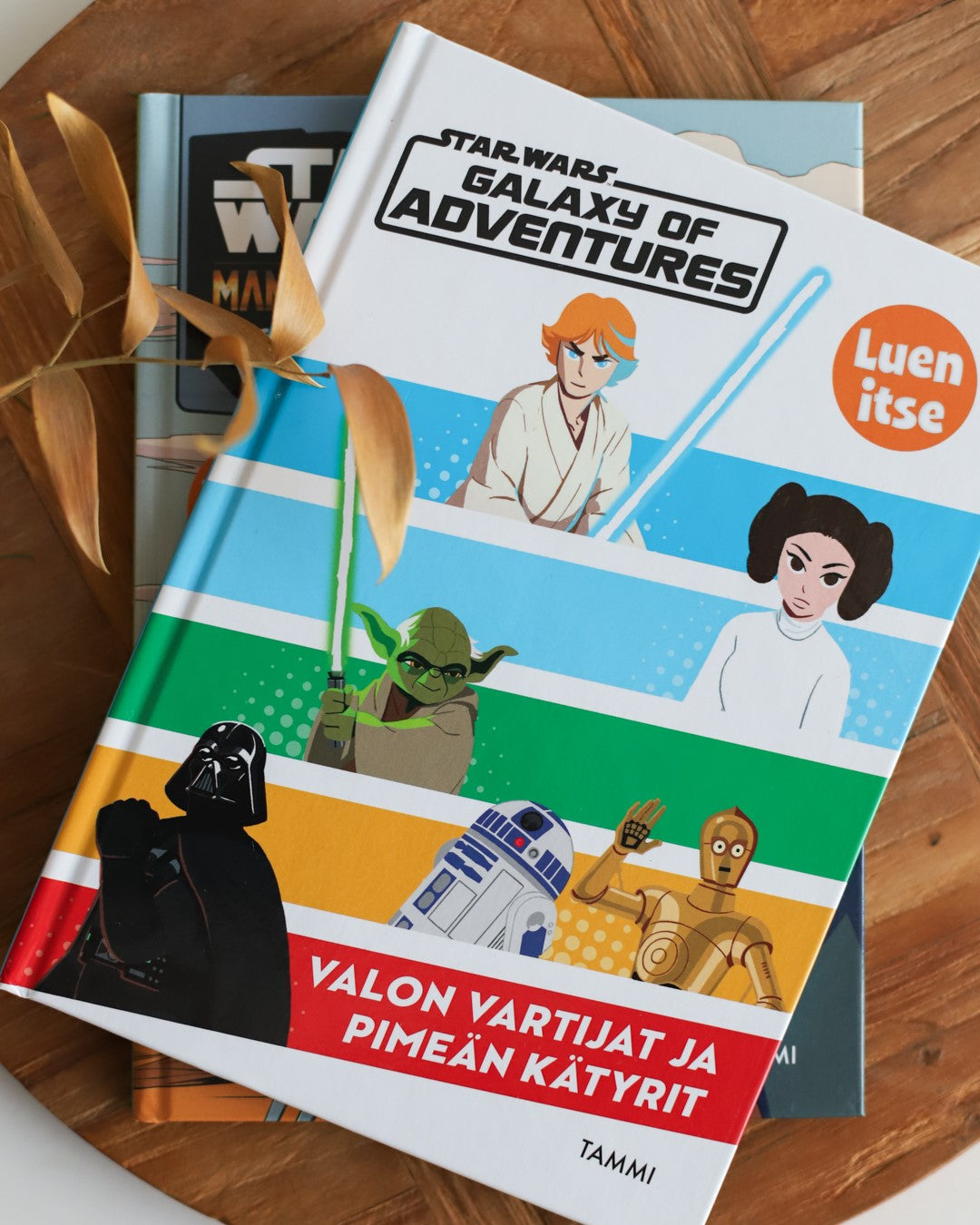 Star Wars Valon vartijat ja pimeän kätyrit -kirja
