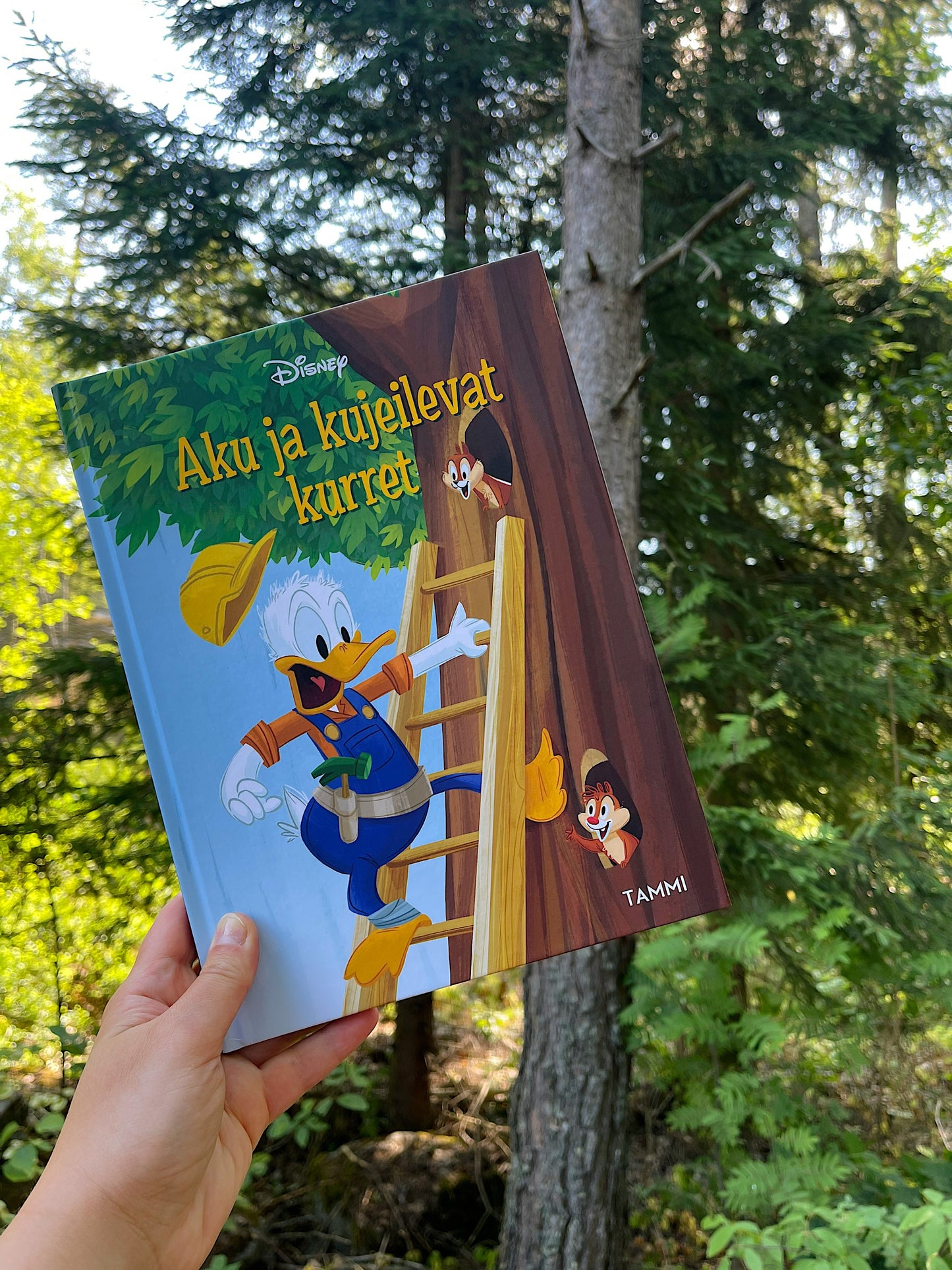 Aku ja kujeilevat kurret -kirja