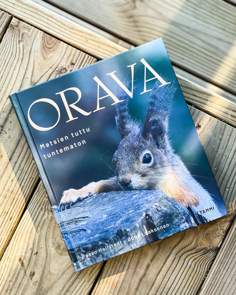 Orava
