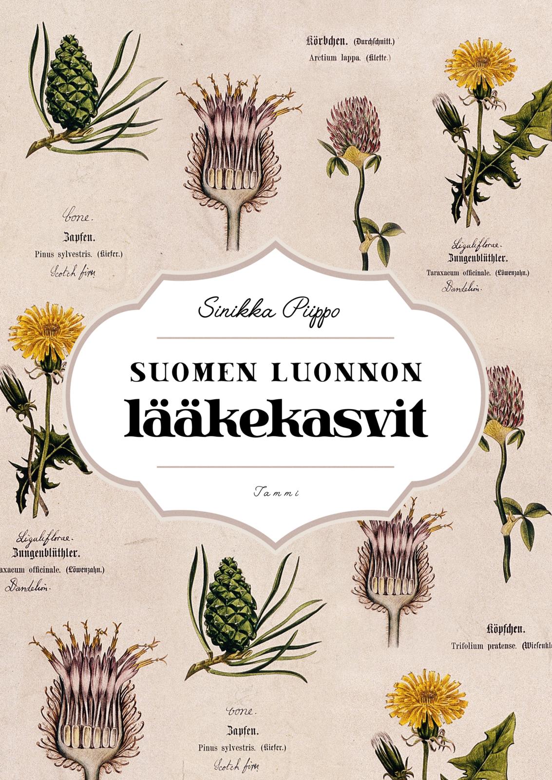 Suomen luonnon lääkekasvit