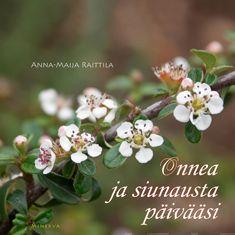 Onnea ja siunausta päivääsi