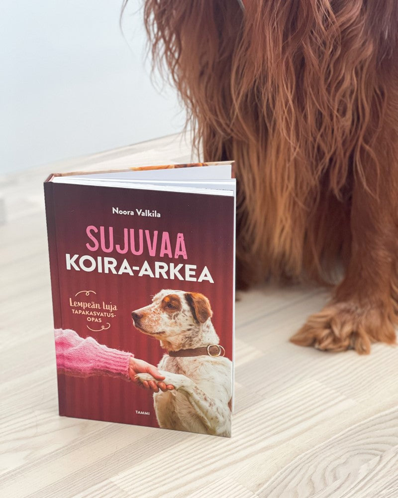 Sujuvaa koira-arkea