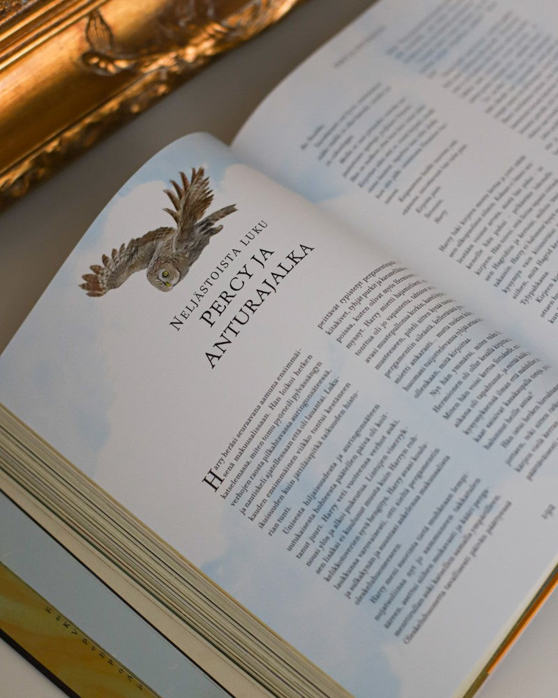 Harry Potter ja Feeniksin kilta