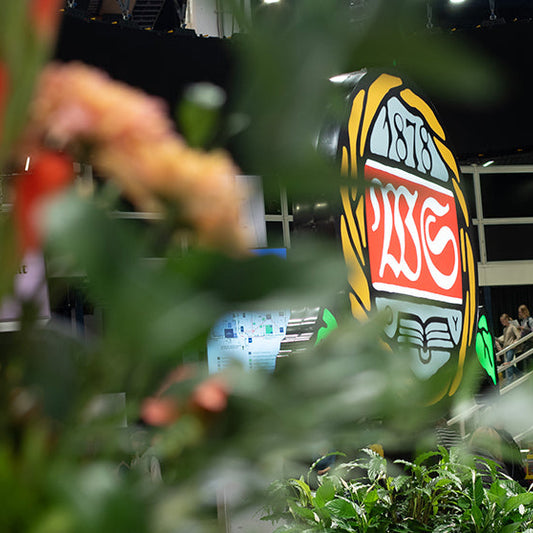 Helsingin kirjamessut 2024