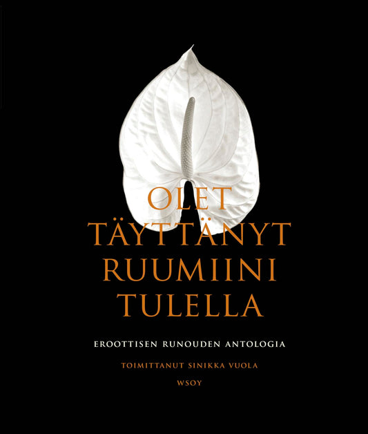 Etukansi. Olet täyttänyt ruumiini tulella.