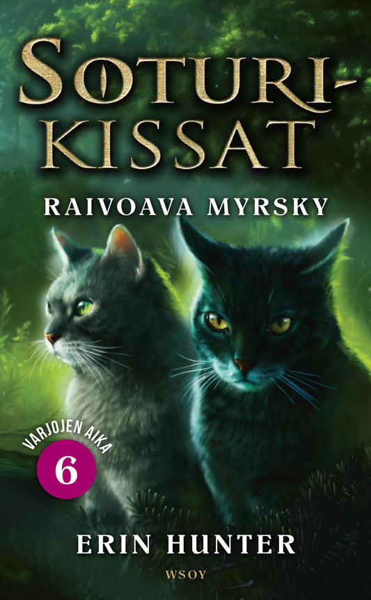 Etukansi. Erin Hunter. Soturikissat: Varjojen aika 6: Raivoava myrsky.