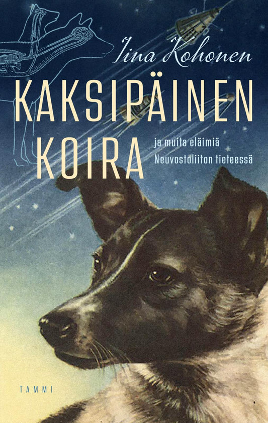 Etukansi. Iina Kohonen. Kaksipäinen koira.