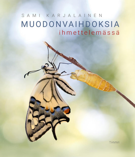 Etukansi. Sami Karjalainen. Muodonvaihdoksia ihmettelemässä.