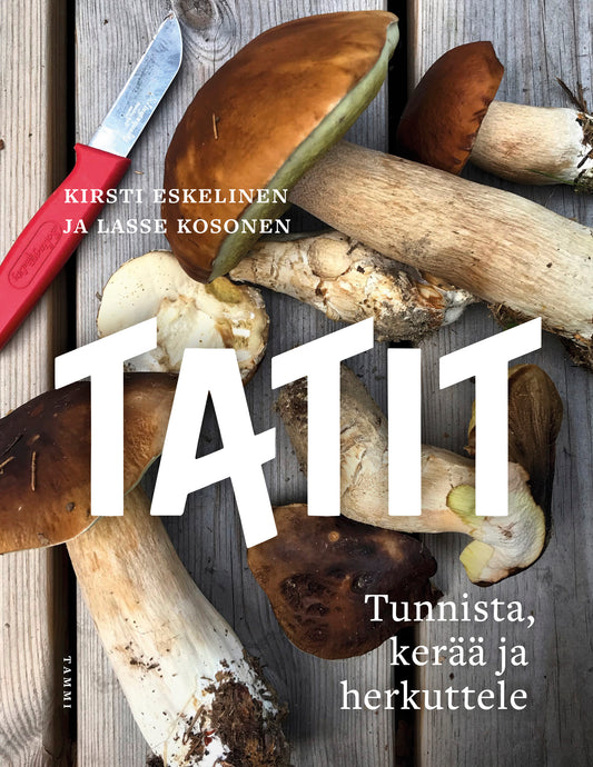 Etukansi. Lasse Kosonen. Kirsti Eskelinen. Tatit.