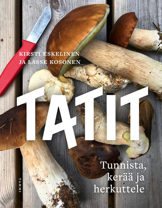 Etukansi. Lasse Kosonen. Kirsti Eskelinen. Tatit.