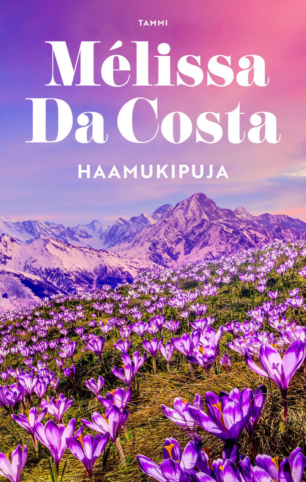 Haamukipuja