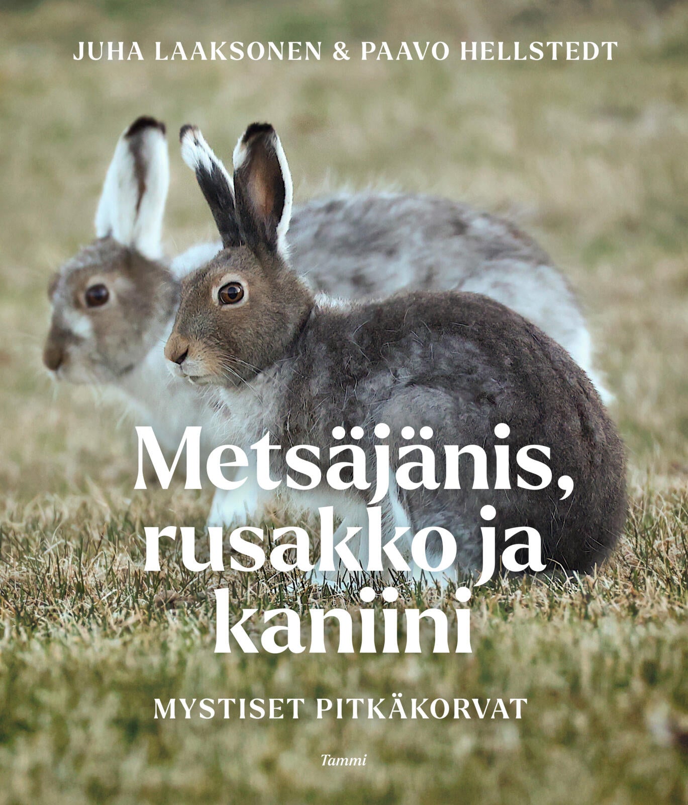 Metsäjänis, rusakko ja kaniini