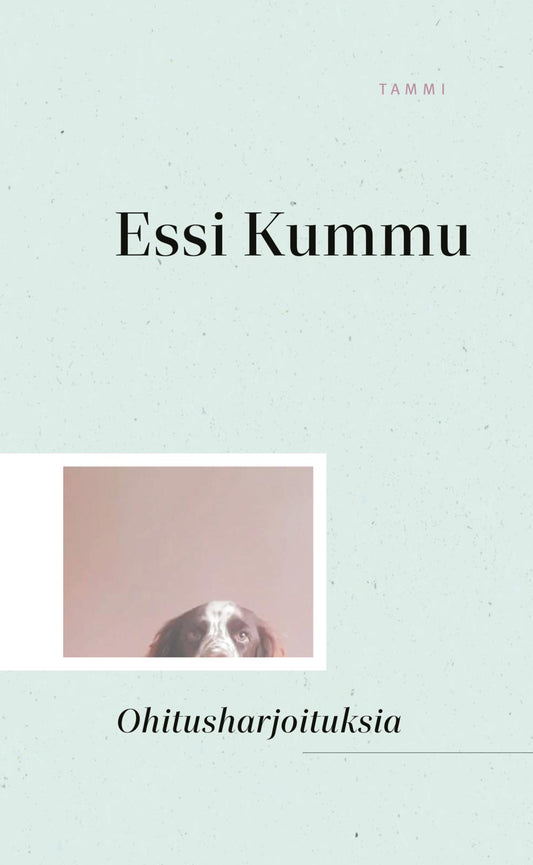 Etukansi. Essi Kummu. Ohitusharjoituksia.