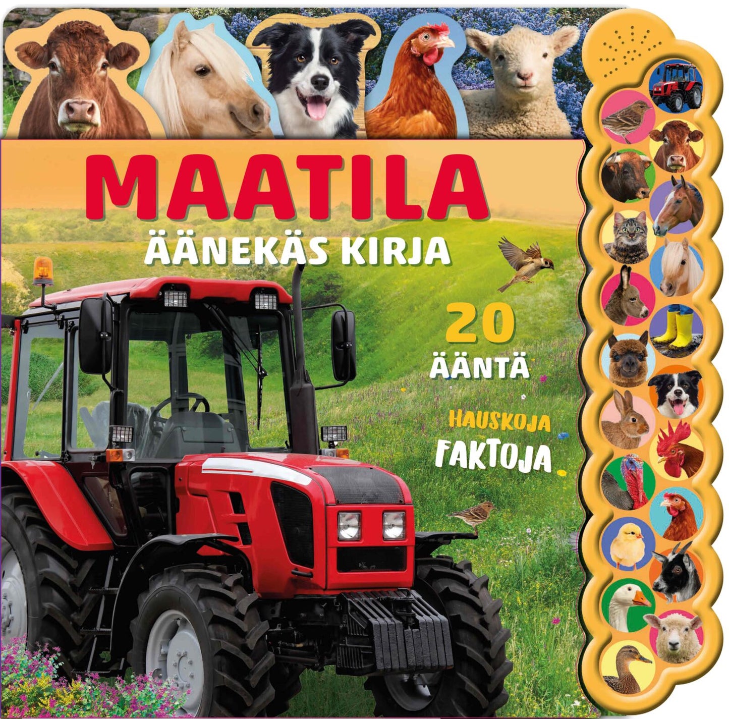 Maatila - äänekäs kirja