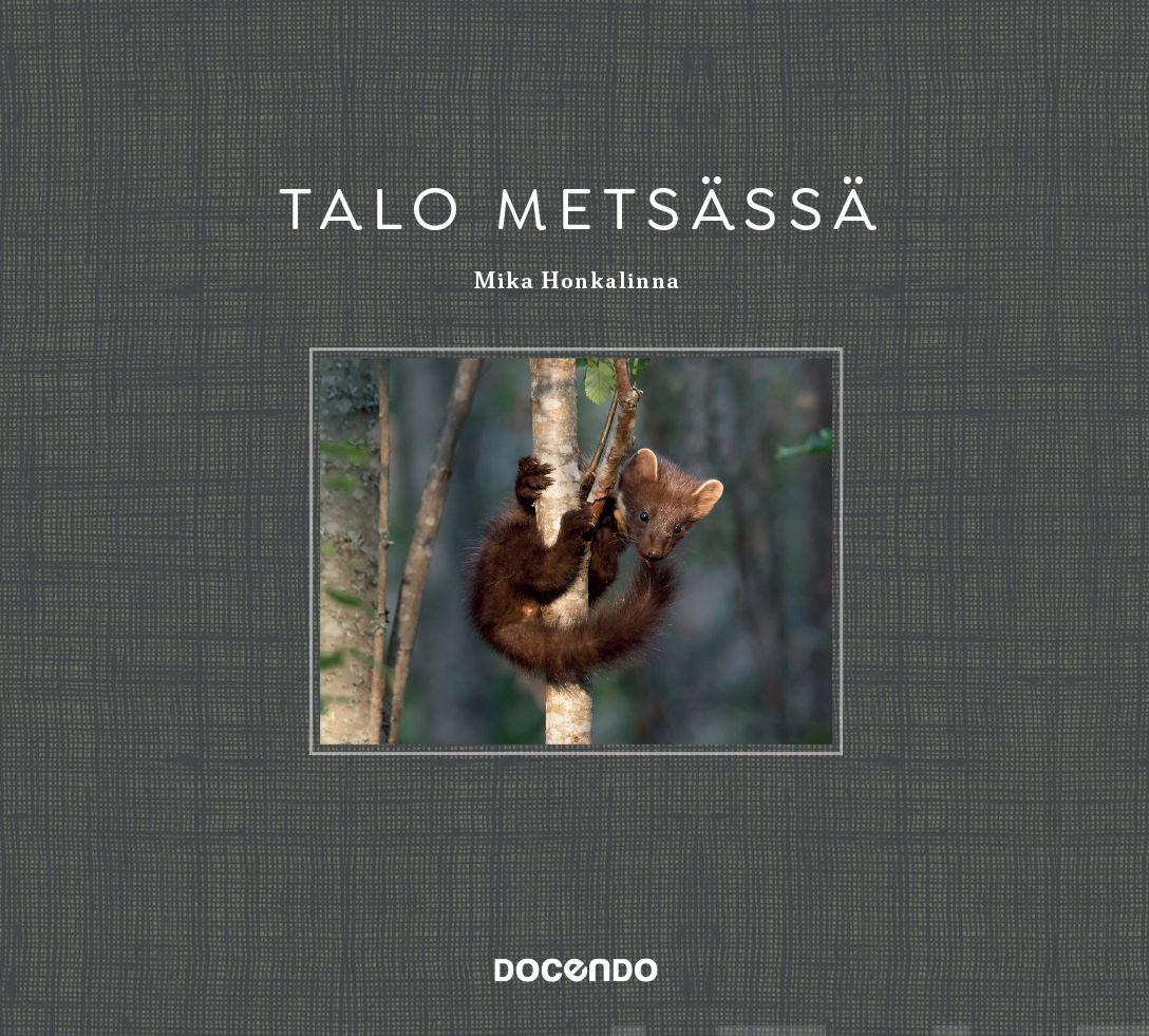 Talo metsässä
