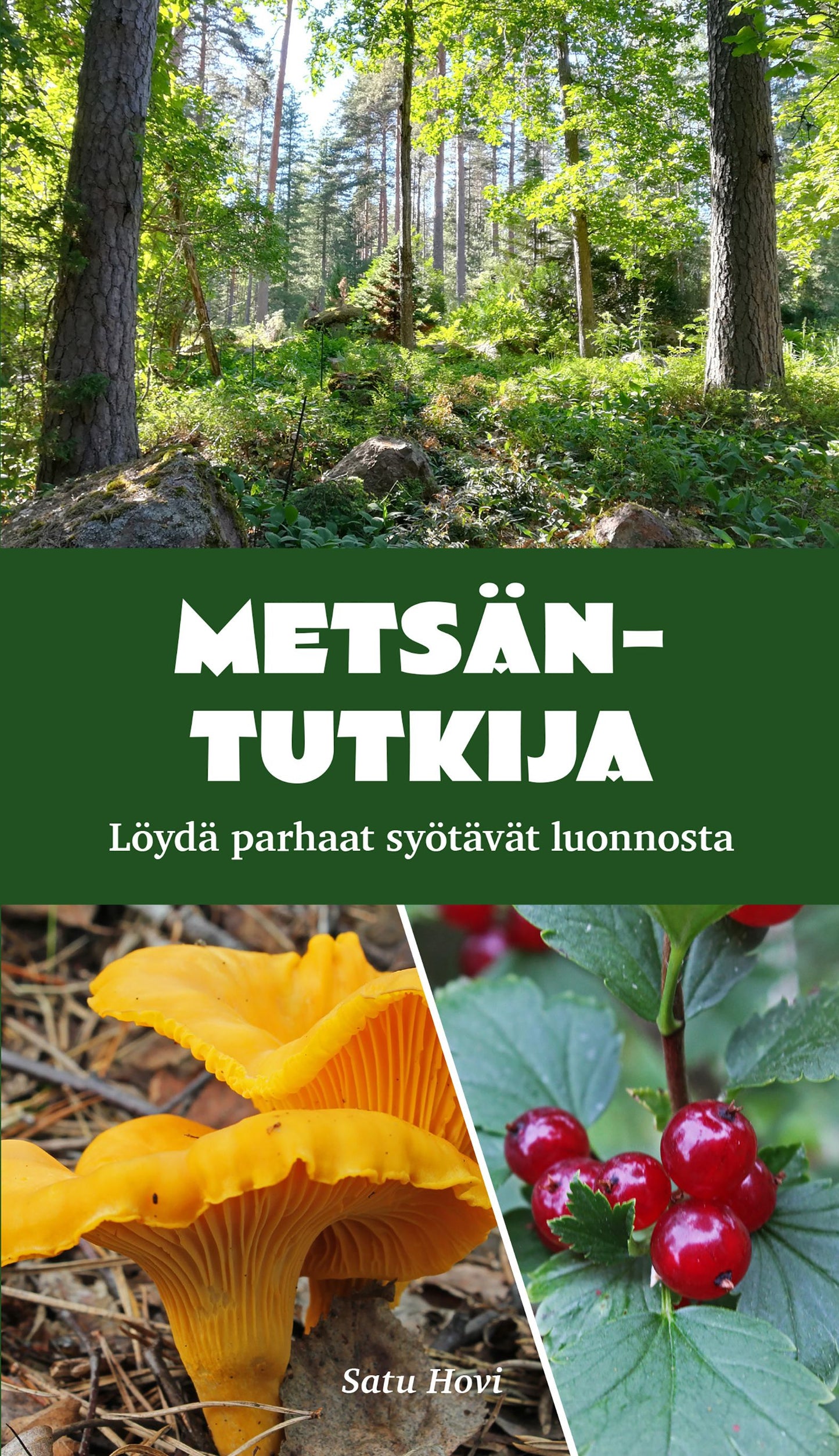 Metsäntutkija