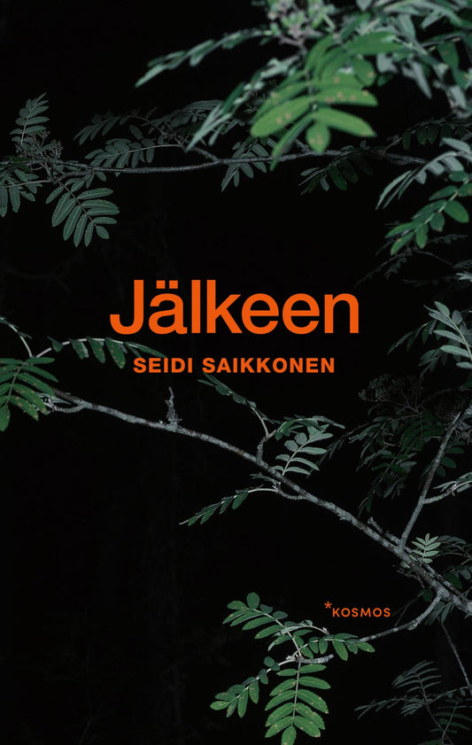 Etukansi. Seidi Saikkonen. Jälkeen.