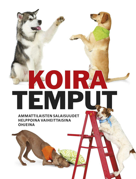 Etukansi. Kyra Sundance. Koiratemput.