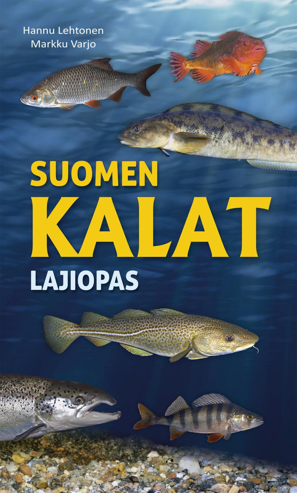 Hannu Lehtonen
