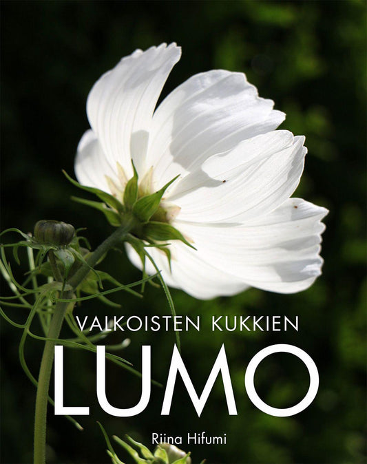 Etukansi. Riina Hifumi. Valkoisten kukkien lumo.