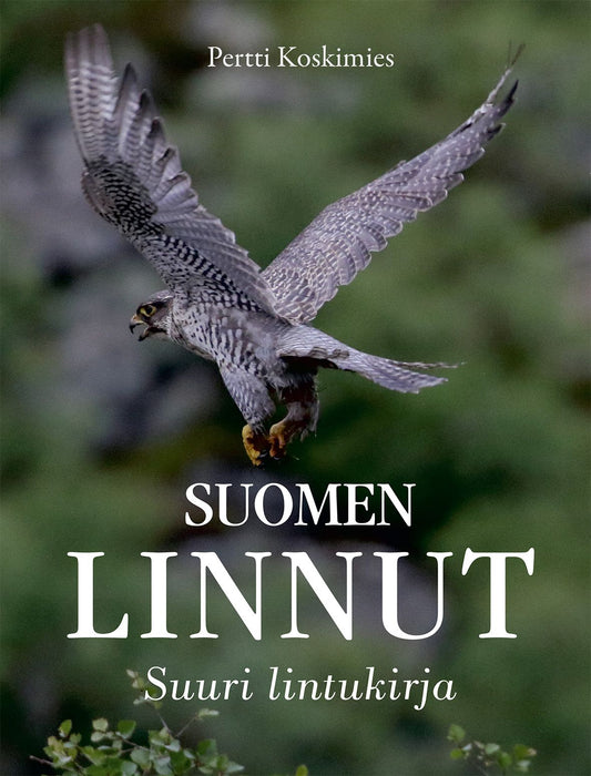 Suomen linnut - Suuri lintukirja