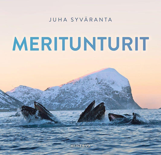 Etukansi. Juha Syväranta. Meritunturit.