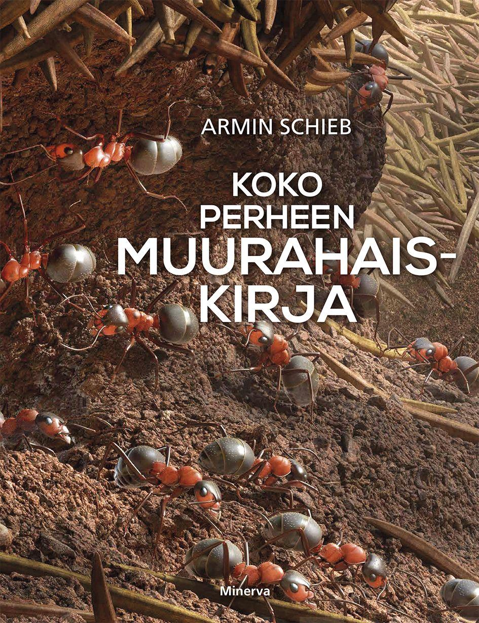 Armin Schieb