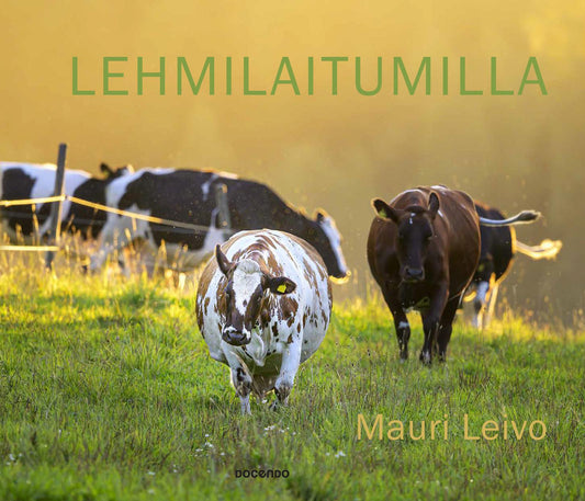 Etukansi. Mauri Leivo. Lehmilaitumilla.