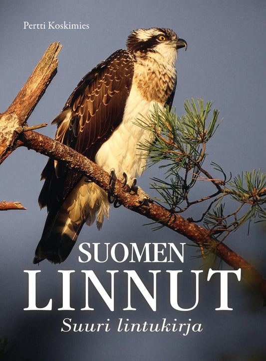 Etukansi. Pertti Koskimies. Suomen linnut - Suuri lintukirja.