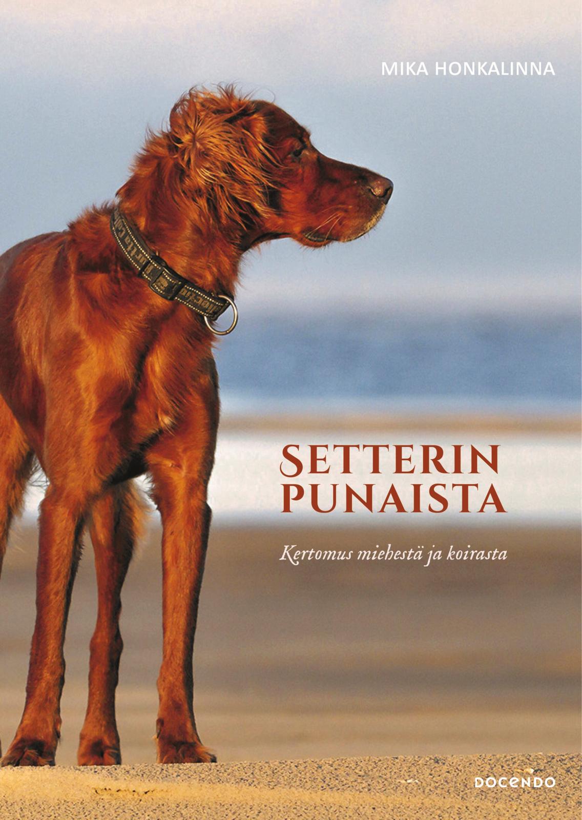 Setterinpunaista