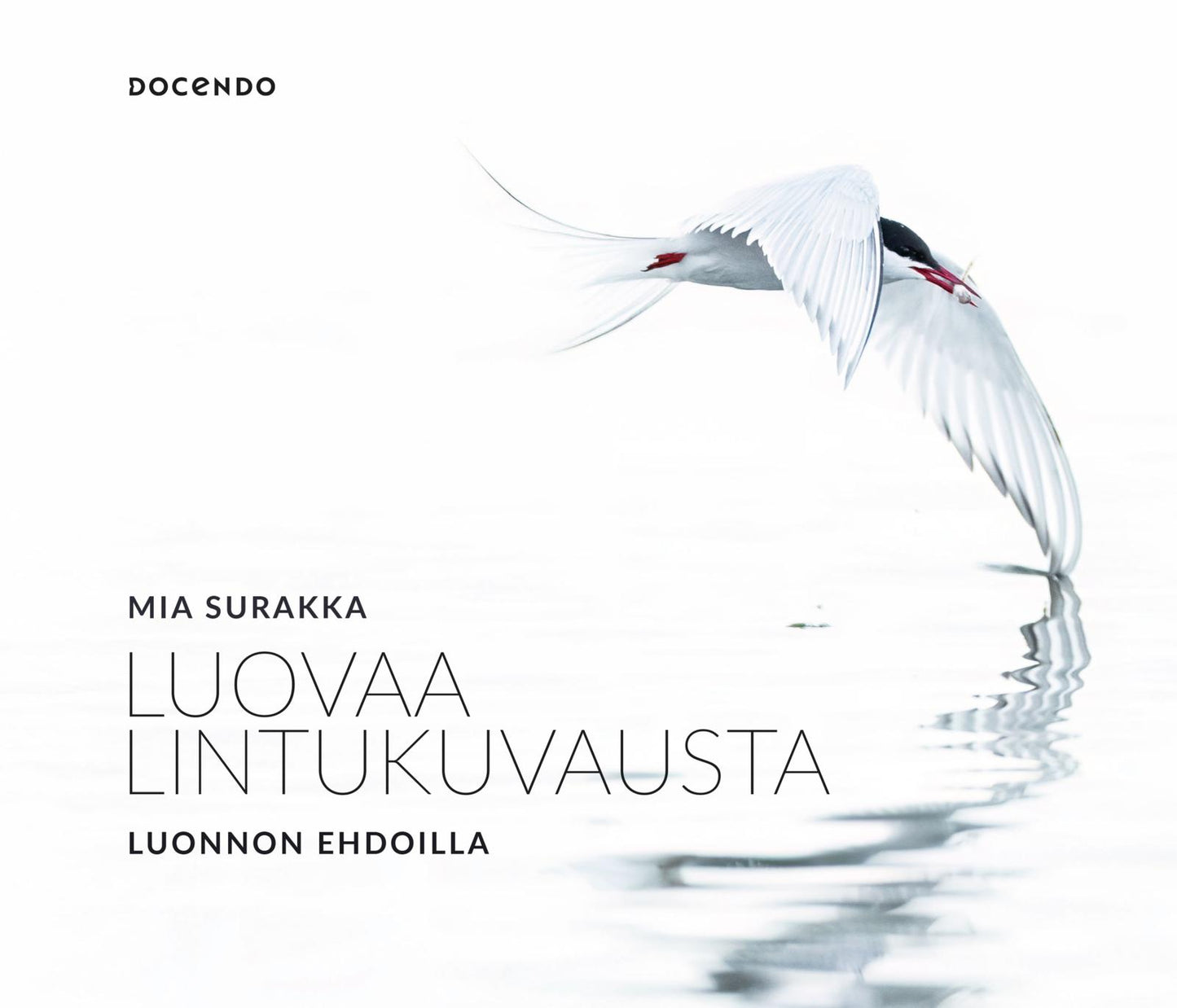 Luovaa lintukuvausta luonnon ehdoilla