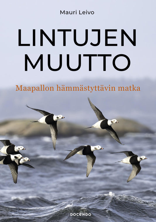 Etukansi. Mauri Leivo. Lintujen muutto – Maapallon hämmästyttävin matka.