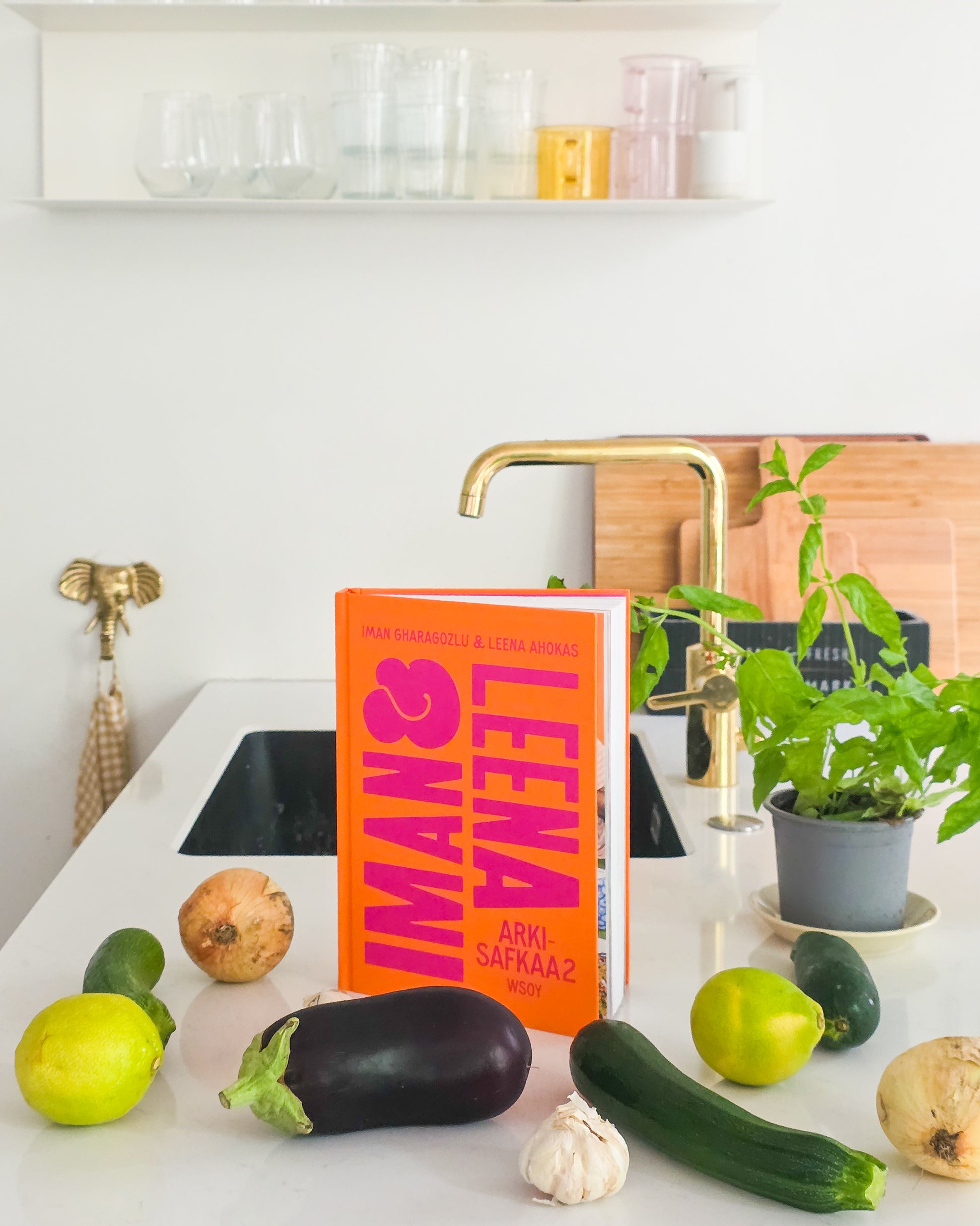 Iman ja Leena Arkisafkaa 2 -kirja