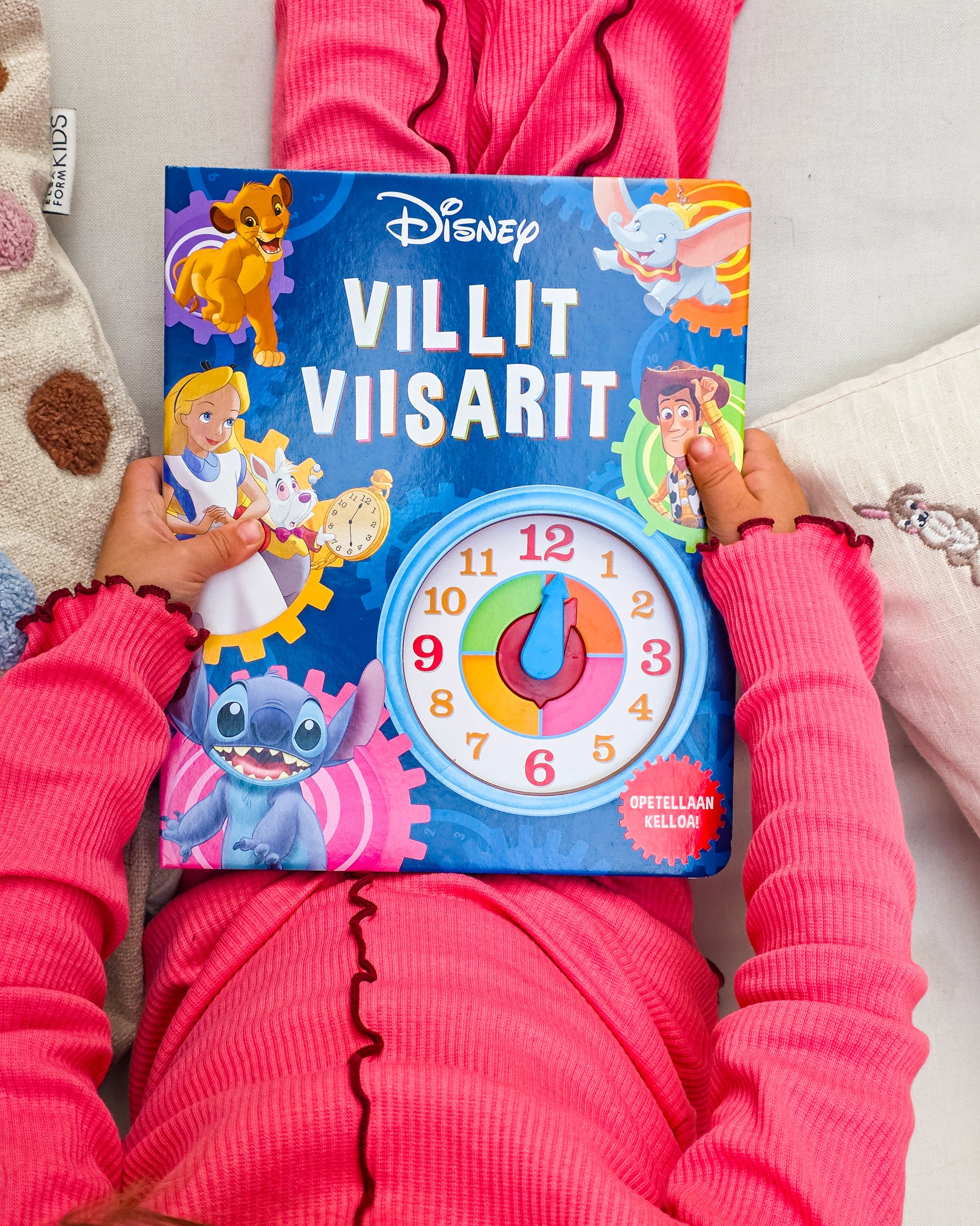 Villit viisarit -kirja