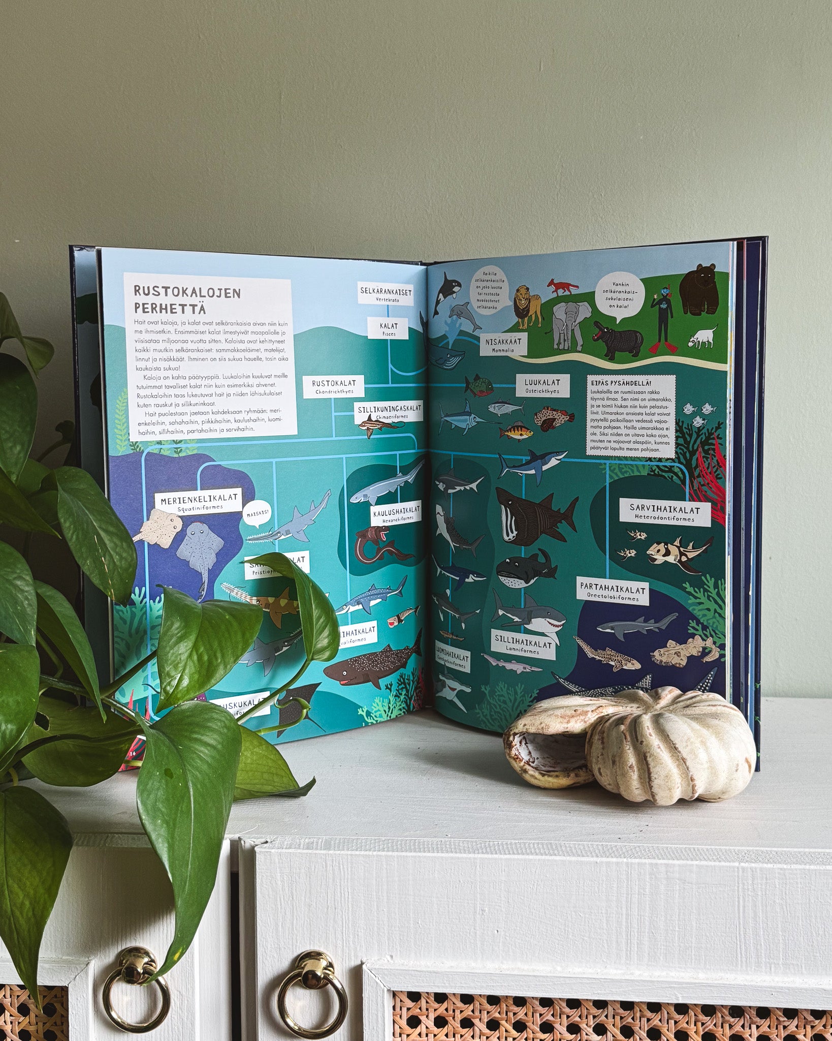 Hait-kirja sisäaukeama