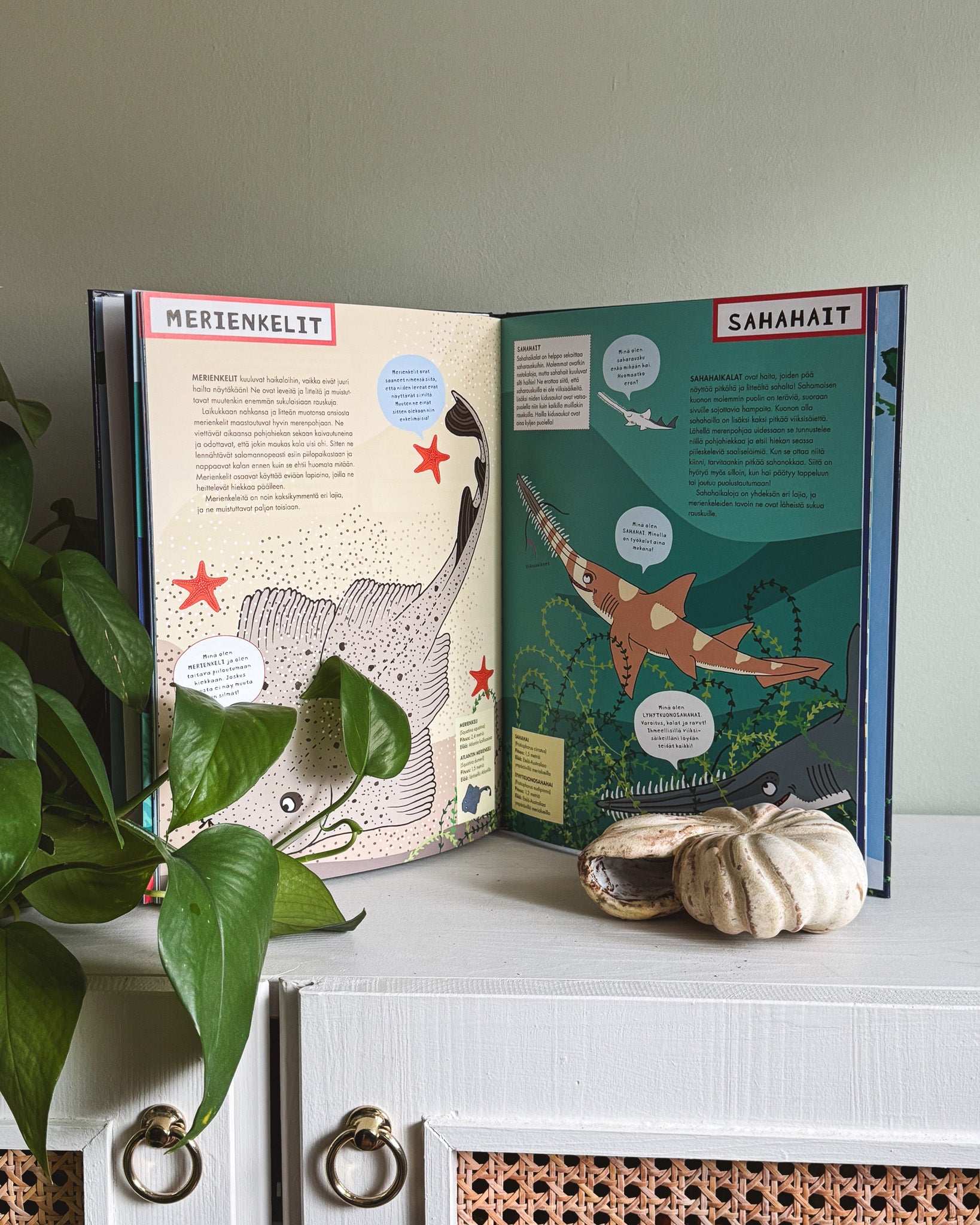 Hait-kirja sisäaukeama