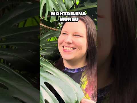 Helena Immonen: Purppurausvan animaagit -kirjat